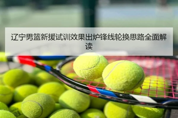 辽宁男篮新援试训效果出炉锋线轮换思路全面解读