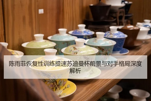 陈雨菲恢复性训练提速苏迪曼杯前景与对手格局深度解析